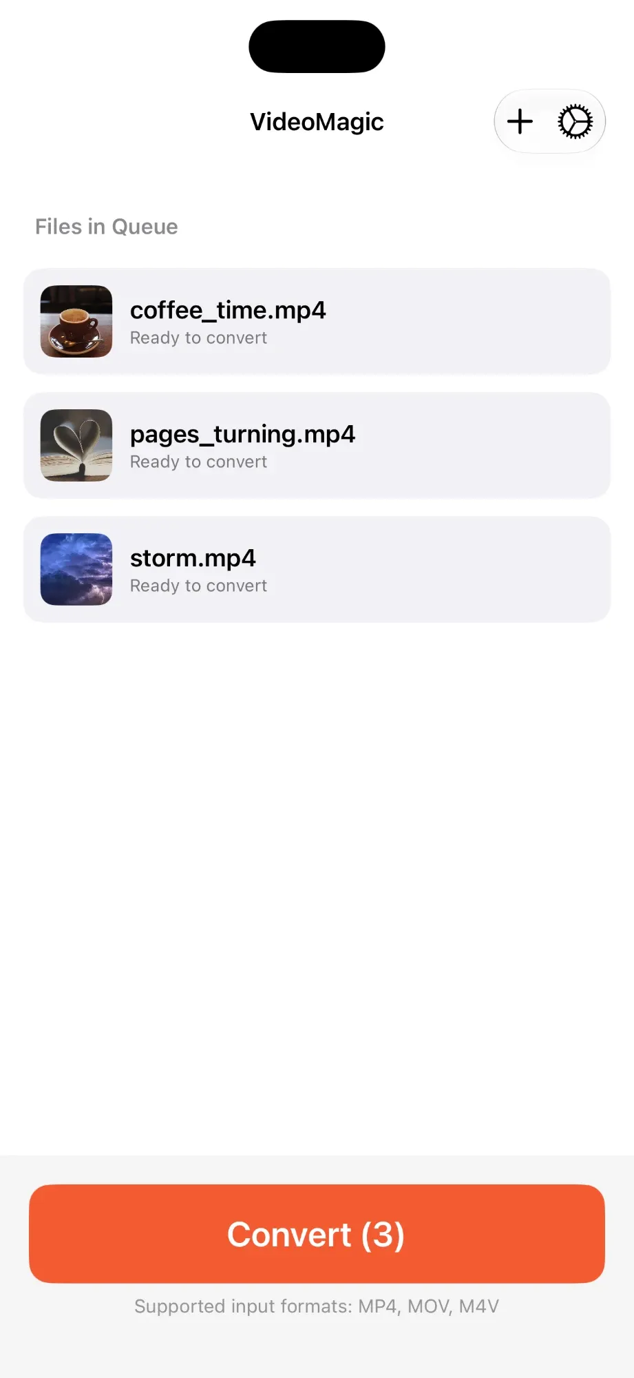 The file queue with three videos ready to convert